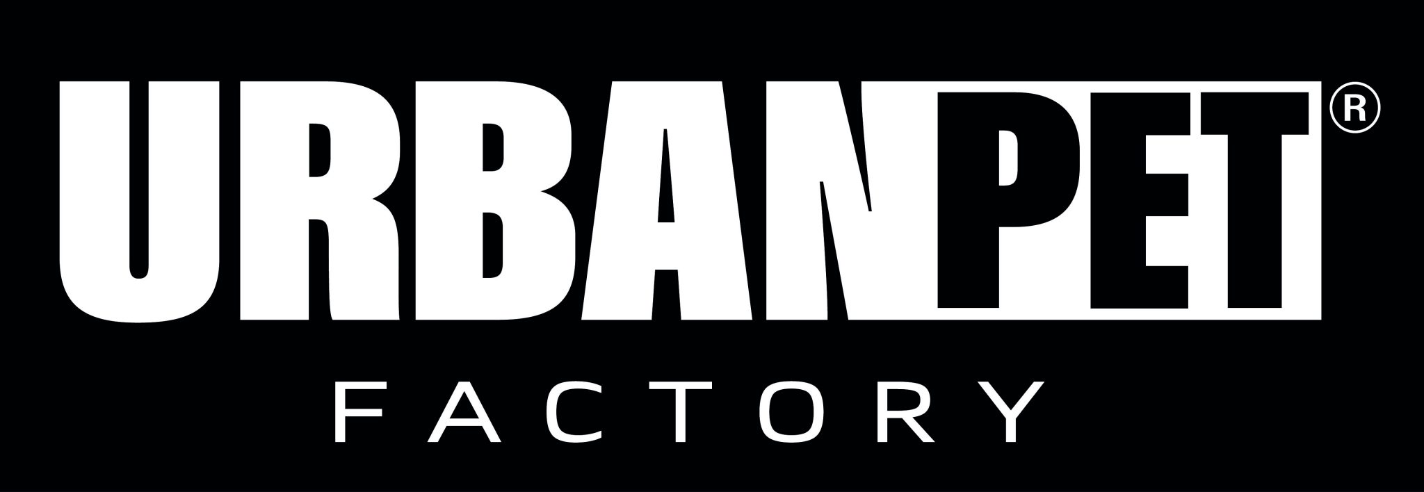 Logo Vectorisé BLANC