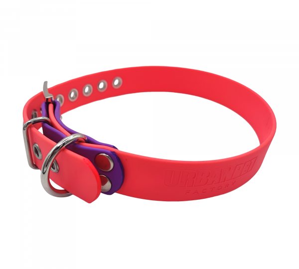 Collier pour chien en Biothane rose fluo avec embout violet et bouclerie argentée.
