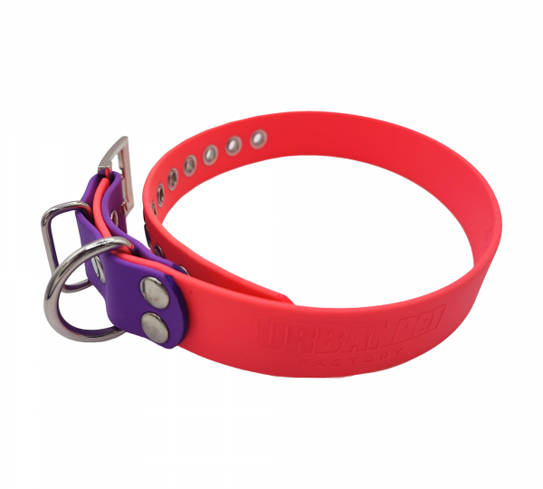 Collier pour chien en Biothane rose fluo avec embout violet et bouclerie argentée.
