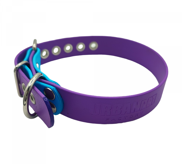 Collier pour chien en Biothane violet avec embout bleu turquoise et anneaux métalliques brillants.