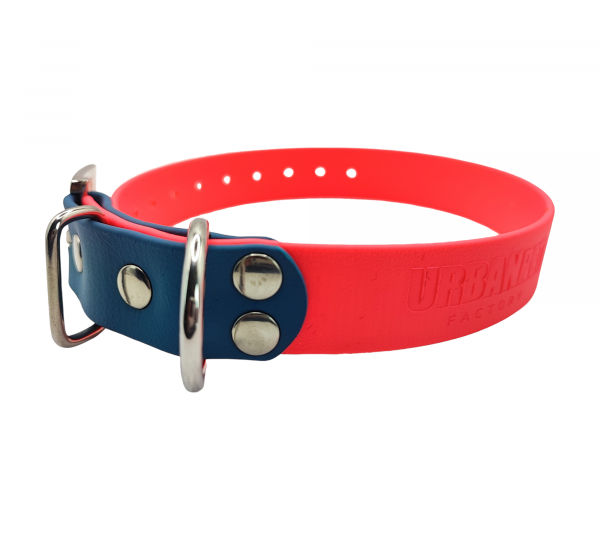 Collier pour chien en Biothane rose fluo avec embout bleu roi et boucle métallique argentée.