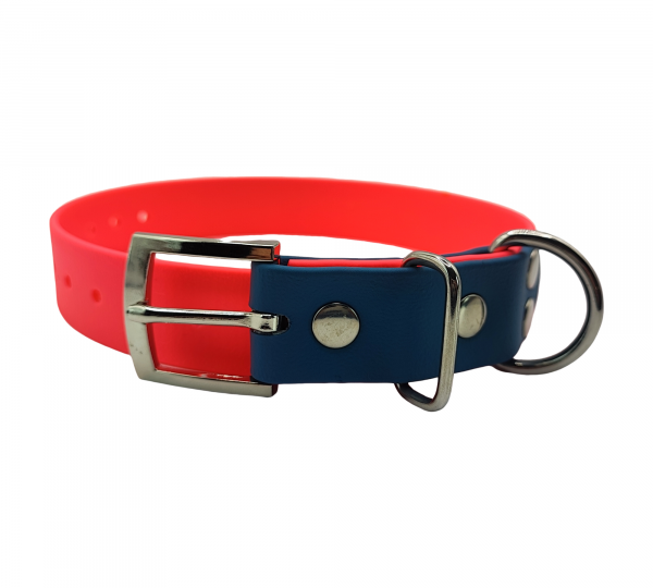 Collier pour chien en Biothane rose fluo avec embout bleu roi et boucle métallique argentée.