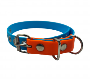 Collier bicolore 19 mm pour chien en biothane, coloris bleu vif et orange fluo.