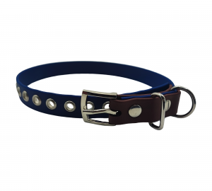 Collier bicolore 19 mm pour chien en biothane, bleu et marron, Urban Pet Factory.