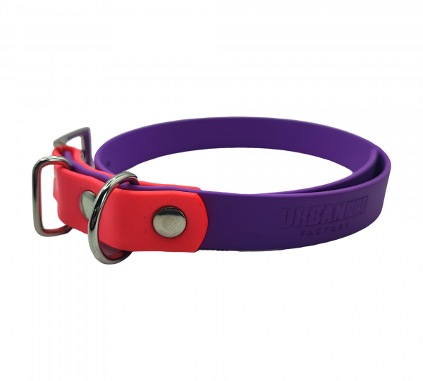 Collier bicolore 19 mm pour chien en biothane, violet et rose fluo, Urban Pet Factory.