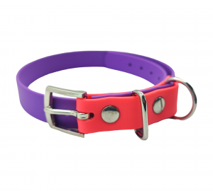 Collier bicolore 19 mm pour chien en biothane, violet et rose fluo, Urban Pet Factory.