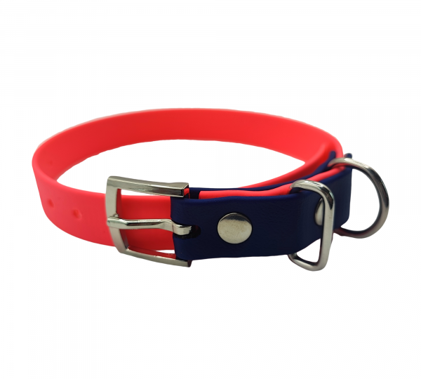 Collier bicolore 19 mm pour chien en biothane, rose fluo et bleu marine, Urban Pet Factory.
