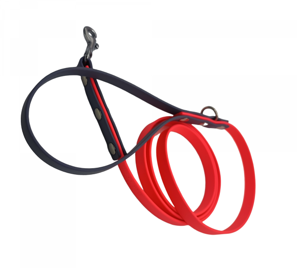 Laisse simple – Image 4
