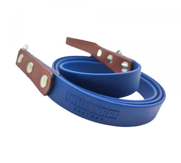 Laisse en biothane bleu roi avec finitions marron – Urban Pet Factory.