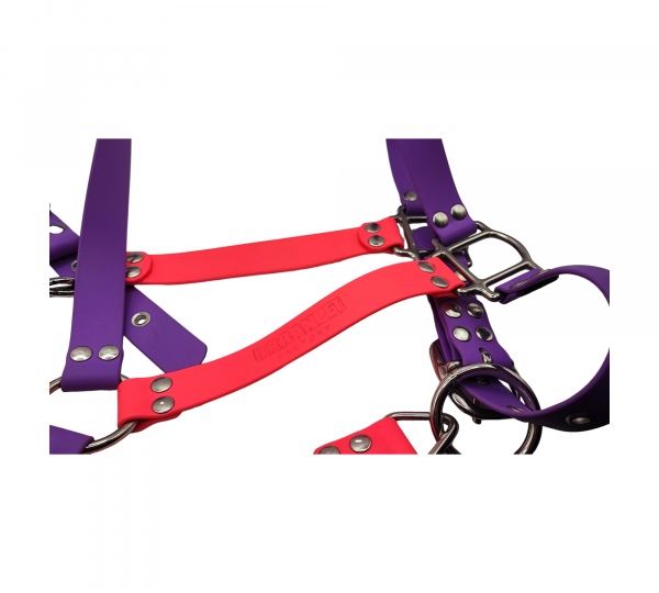 Licol cheval en Biothane violet et rouge fluo UrbanPet Factory – vue rapprochée