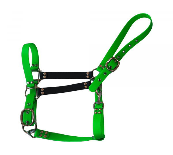 Licol cheval en Biothane vert fluo et noir avec bouclerie métallique – UrbanPet Factory