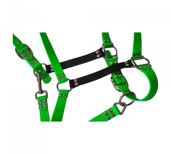 Licol cheval en Biothane vert fluo et noir avec bouclerie métallique – UrbanPet Factory
