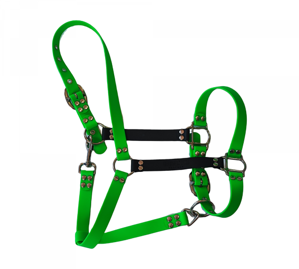 Licol cheval en Biothane vert fluo et noir avec bouclerie métallique – UrbanPet Factory