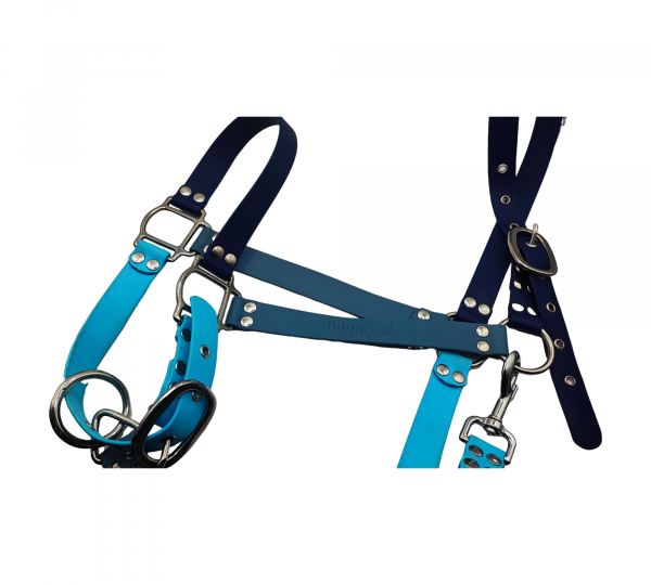Licol pour cheval en Biothane dans des nuances de bleu – bleu roi, bleu gris et bleu clair – UrbanPet Factory