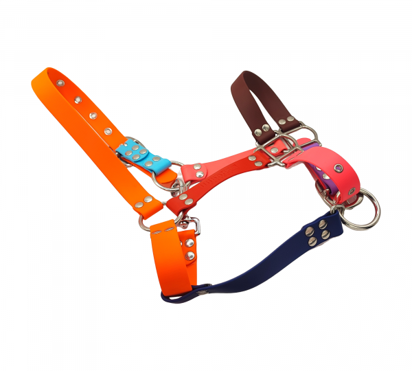 Licol cheval multicolore en Biothane avec bouclerie métallique – UrbanPet Factory