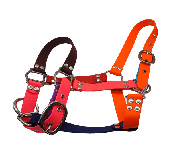 Licol cheval multicolore en Biothane avec bouclerie métallique – UrbanPet Factory
