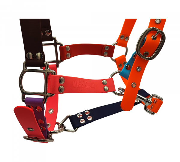 Licol cheval multicolore en Biothane avec bouclerie métallique – UrbanPet Factory