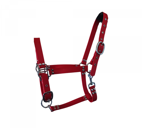 Licol cheval en Biothane rouge avec bouclerie métallique – UrbanPet Factory