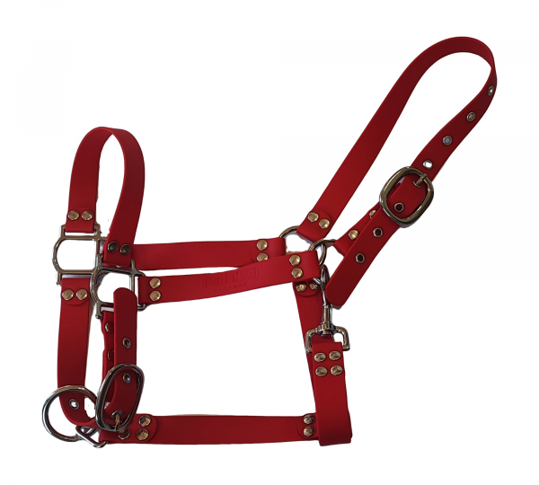 Licol cheval en Biothane rouge avec bouclerie métallique – UrbanPet Factory