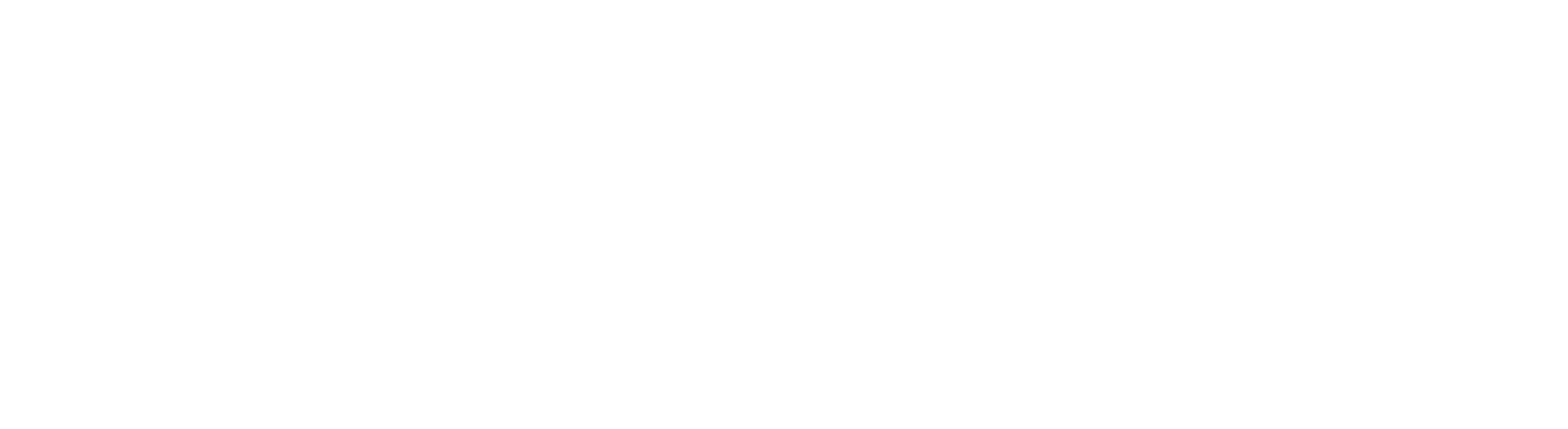 Logo Vectorisé BLANC