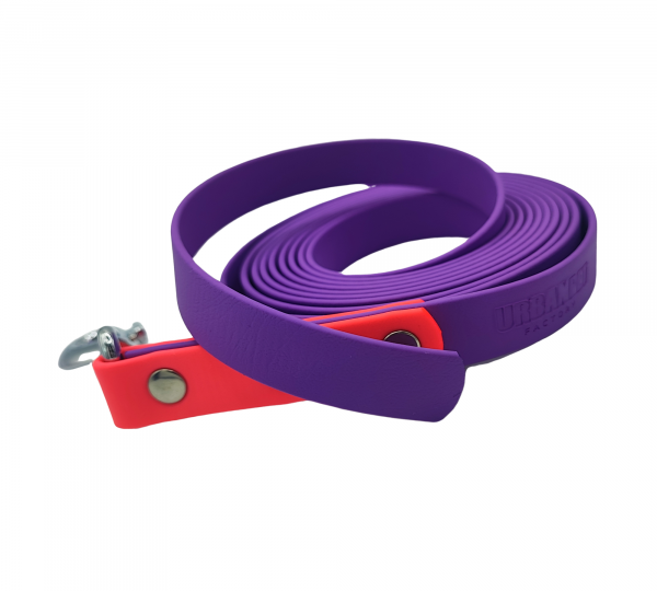 Longe SP pour chien en Biothane violette et rose – Urban Pet Factory.