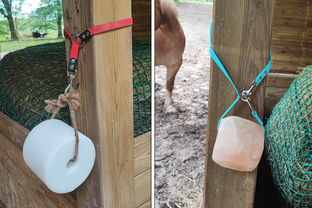 Attache Biothane 13 mm fixée à un poteau avec pierre de sel – cheval
