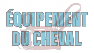 Équipement du cheval