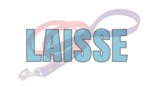 Laisse