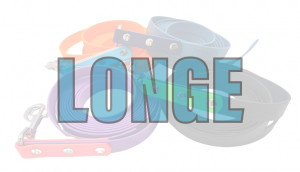 Longe