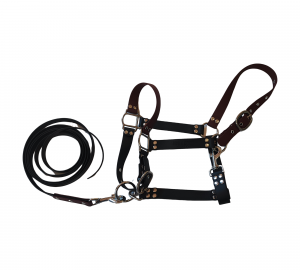 Ensemble licol et longe pour cheval en Biothane noir et brun avec bouclerie métallique résistante.