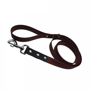 Laisse simple 2m marron et noir - 25mm